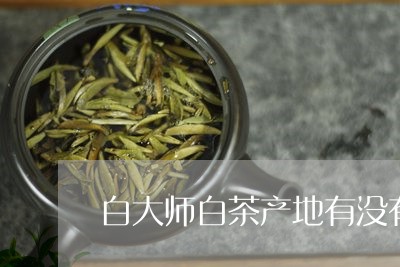 白大师白茶产地有没有污染/2023041279604