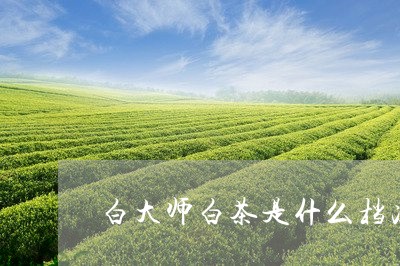 白大师白茶是什么档次配置/2023040941937