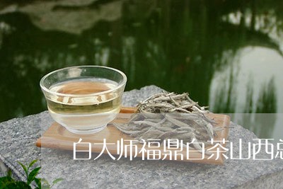 白大师福鼎白茶山西总代理/2023041205149