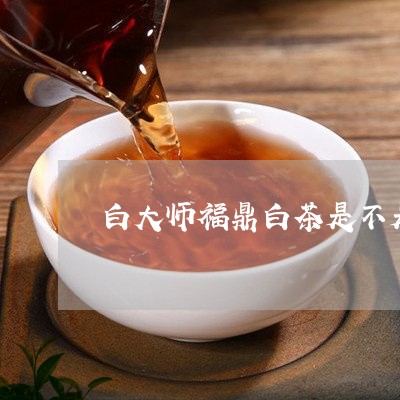 白大师福鼎白茶是不是贴牌/2023040947950