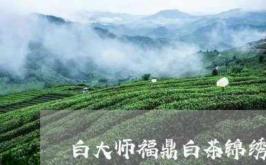 白大师福鼎白茶锦绣湖畔店/2023041258591