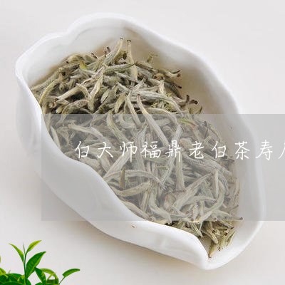 白大师福鼎老白茶寿眉茶饼/2023040946947