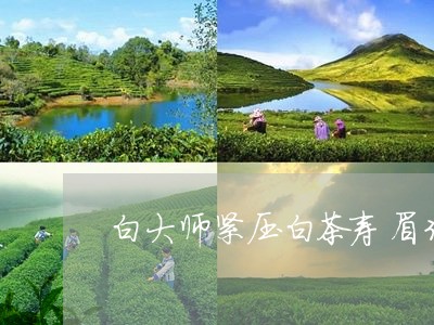 白大师紧压白茶寿眉30克/2023033194340