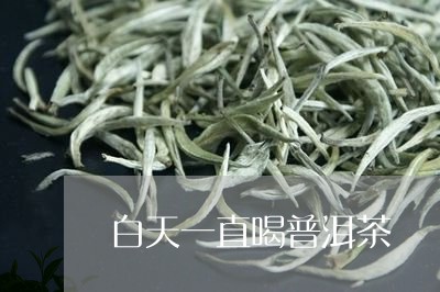 白天一直喝普洱茶/2023033046280