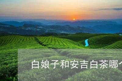 白娘子和安吉白茶哪个好喝/2023041259483