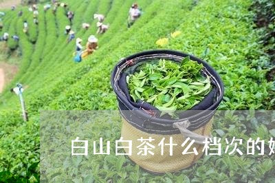 白山白茶什么档次的好一点/2023040926289