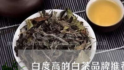 白度高的白茶品牌推荐一下/2023040996140