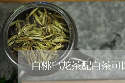 白桃乌龙茶配白茶可以喝吗/2023041240605