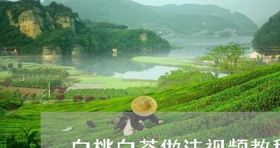 白桃白茶做法视频教程窍门/2023040968389