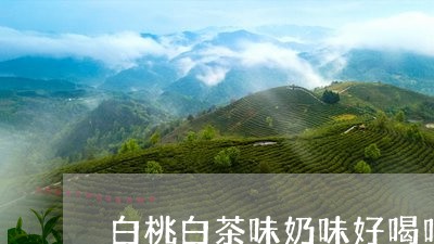 白桃白茶味奶味好喝吗/2023041212413