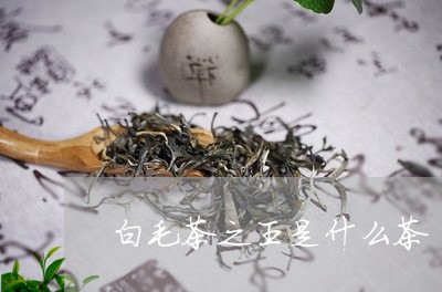 白毛茶之王是什么茶/2023041505461