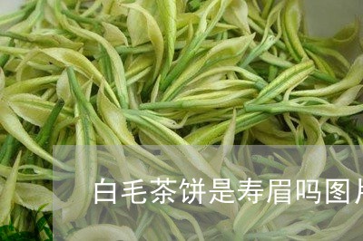 白毛茶饼是寿眉吗图片大全/2023040958260