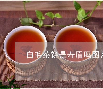 白毛茶饼是寿眉吗图片高清/2023040962917