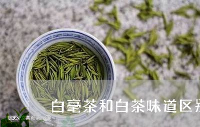 白毫茶和白茶味道区别图片/2023041283717