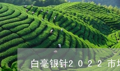 白毫银针2022市场价格/2023033096060