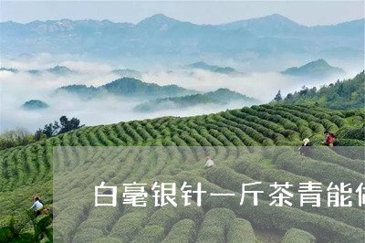 白毫银针一斤茶青能做多少/2023041233894