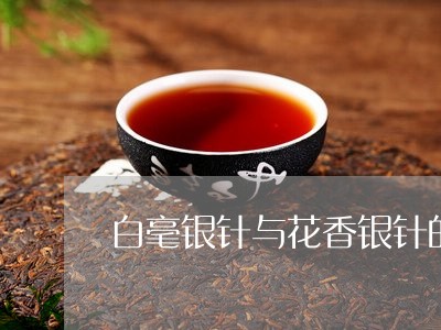 白毫银针与花香银针的区别/2023041295059