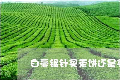 白毫银针买茶饼还是买散茶/2023040990382