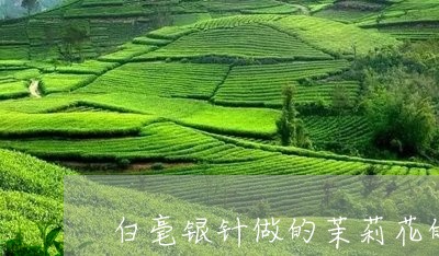 白毫银针做的茉莉花的工艺/2023041260362