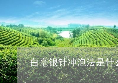 白毫银针冲泡法是什么味道/2023040902513