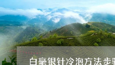 白毫银针冷泡方法步骤正确/2023040946369