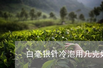 白毫银针冷泡用几克好一点/2023041249503