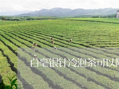 白毫银针冷泡茶可以隔夜吗/2023041251493