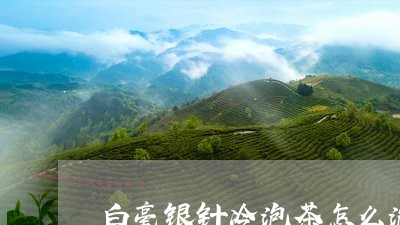 白毫银针冷泡茶怎么泡最好/2023041272735