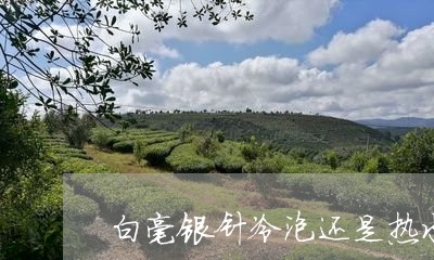 白毫银针冷泡还是热水泡好/2023041283039