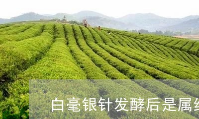 白毫银针发酵后是属红茶吗/2023041221572