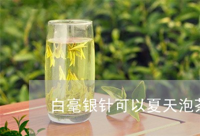 白毫银针可以夏天泡茶喝吗/2023040956169