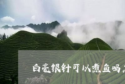 白毫银针可以煮鱼吗怎么煮/2023041207248