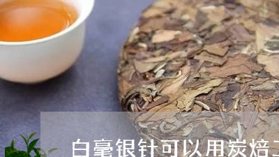 白毫银针可以用炭焙工艺吗/2023040996937