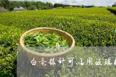 白毫银针可以用玻璃杯冲泡/2023040990604