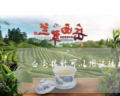 白毫银针可以用玻璃杯泡吗/2023041266159