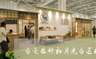 白毫银针和月光白区别图片/2023040996400