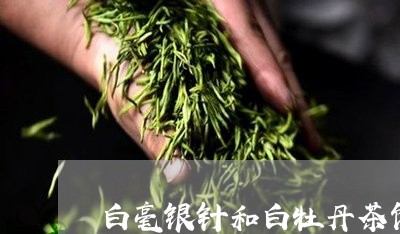 白毫银针和白牡丹茶饼发货/2023041272706