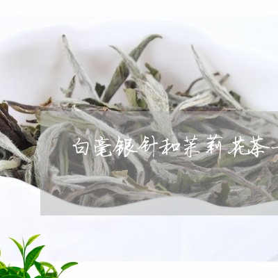 白毫银针和茉莉花茶一起喝/2023040978460