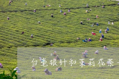 白毫银针和茉莉花茶一起喝/2023041278695