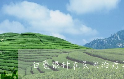 白毫银针在民间治疗荨麻疹/2023040979492