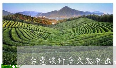 白毫银针多久能存出药香味/2023040960594