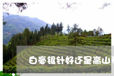 白毫银针好还是高山寿眉好/2023040952507