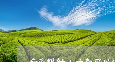 白毫银针小叶壳可以保存吗/2023040991603