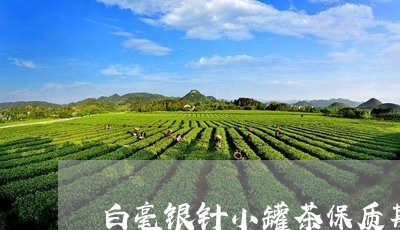 白毫银针小罐茶保质期价格/2023041354835