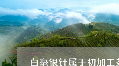 白毫银针属于初加工茶叶吗/2023041342594