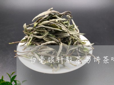 白毫银针散茶与饼茶哪个好/2023041359472