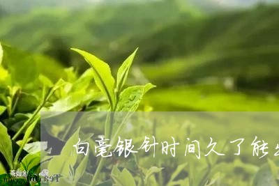 白毫银针时间久了能出药香/2023040906069