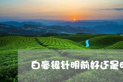 白毫银针明前好还是明后好/2023040974735