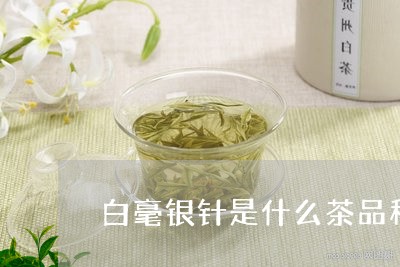 白毫银针是什么茶品种的茶/2023040969607