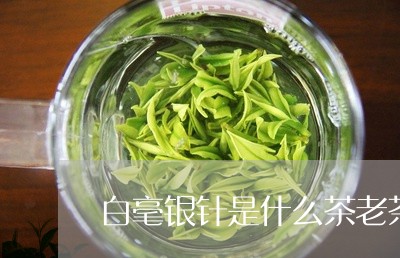 白毫银针是什么茶老茶好吗/2023041357159